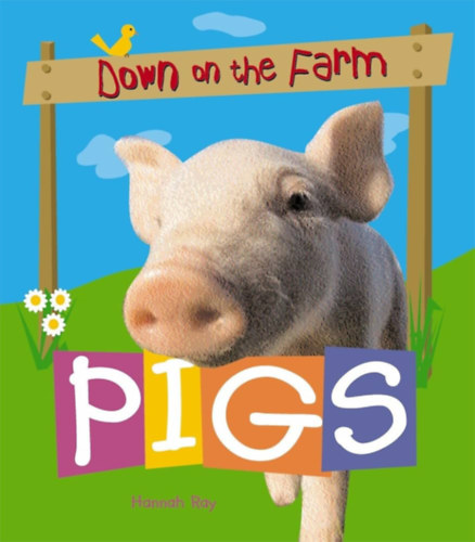 Hannah Ray - Pigs - Down on the Farm