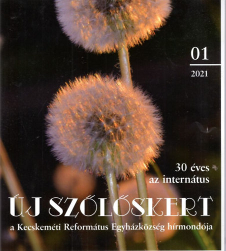 j  Szlskert IX. vf. 2021.01. szm  - a Kecskemti Reformtus Egyhzkzsg hrmondja