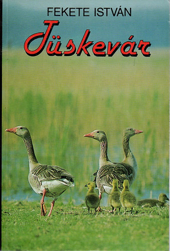 Tskevr