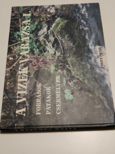 A vizek var�zsa I.