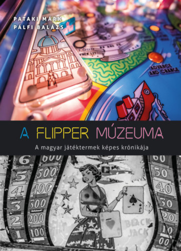 A flipper mzeuma - A magyar jtktermek kpes krnikja