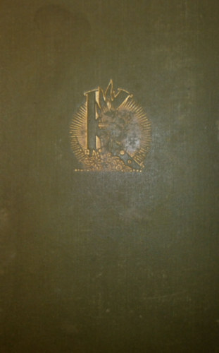 A nagyvros homlybl