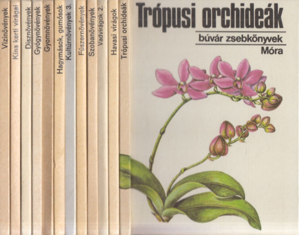12 db knyv a Bvr Zsbeknyvek sorozatbl: Trpusi orchidek + Havasi virgok + Vadvirgok 2 + Szobanvnyek + Fszernvnyek + Kultrnvnyek 3 + Hagymsok, gumsok + Gyomnvnyek + Gygynvnyek + Dsznvnyek + Kna ke