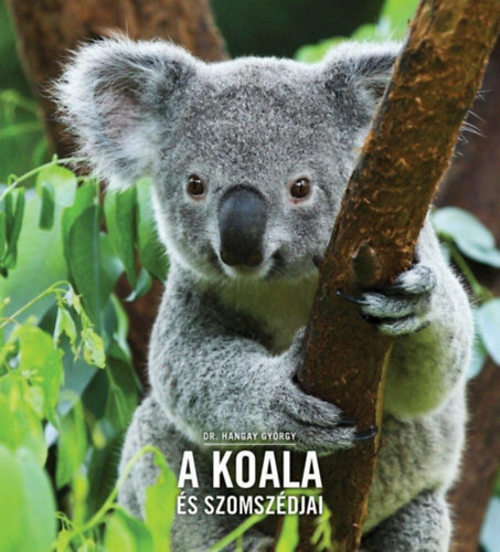 A koala s szomszdjai