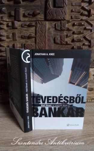 Tvedsbl bankr - Wall Street: az elveszett illzi (The Accidental Investment Banker: Inside the Decade That Transformed Wall Street) - Zstr Csaba fordtsban; Sajt kppel!