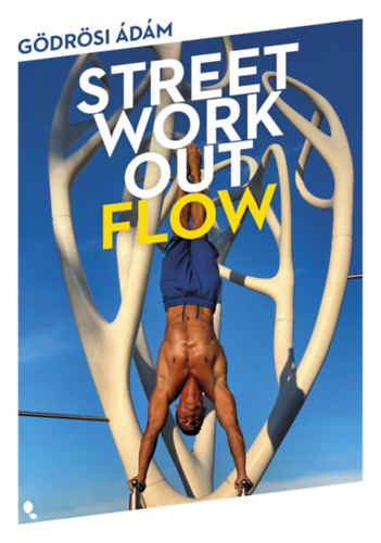 G�dr�si �d�m - Street workout flow