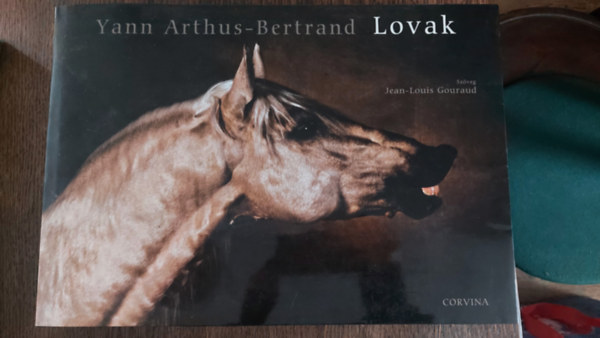 Lovak (Corvina)