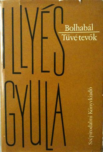 Illys Gyula - Bolhabl -Tv-tevk