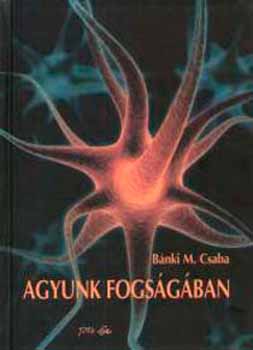 Agyunk fogsgban