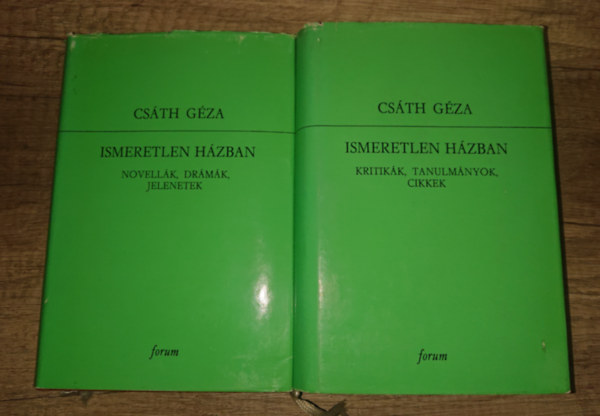 Cs�th G�za - Ismeretlen h�zban I-II.