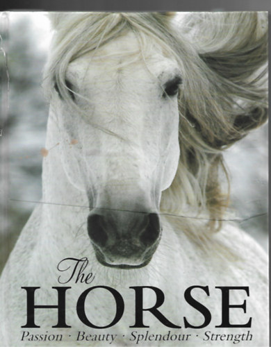 Elaine Walker - The Horse: Passion, Beauty, Splendor, Strength