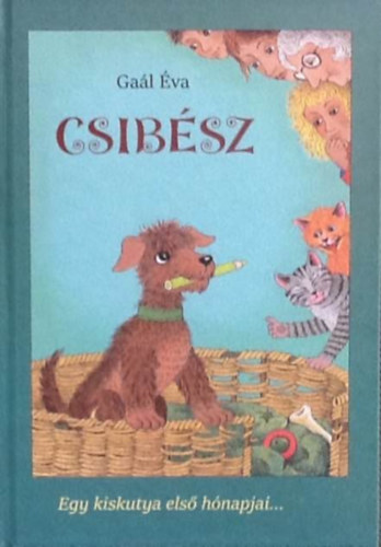 Gal va - Csibsz - Egy kiskutya els hnapjai