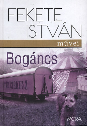 Bogncs