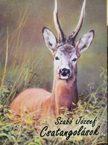 Csatangolsok _ Vadszati novellk