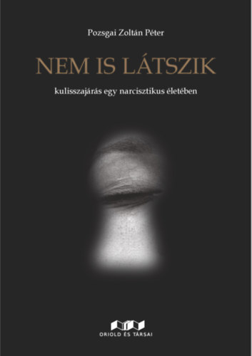 Pozsgai Zoltn Pter - Nem is ltszik