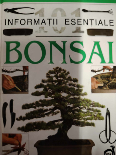 Bonsai 101 Informatii esentiale