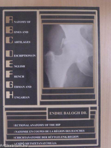 Dr. Balogh Endre - A csp metszetanatmija