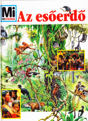 Az eserd - Mi micsoda?