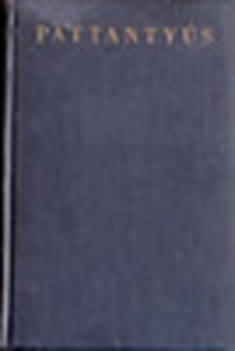 Pattanty�s g�p�sz- �s villamosm�rn�k�k k�zik�nyve 6.