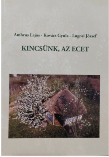 Kincsnk, az ecet