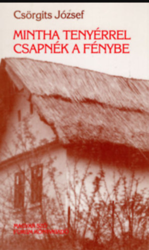 Mintha teny�rrel csapn�k a f�nybe