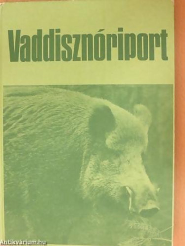 Vaddisznriport - letem a vaddisznk kztt