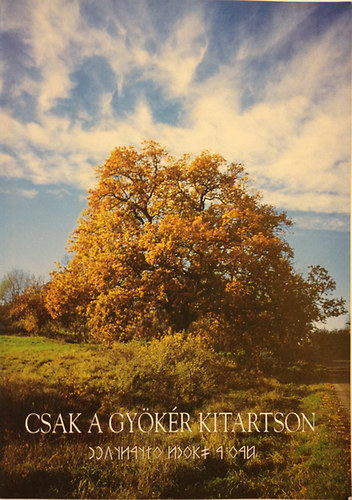 Csak a gykr kitartson