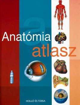 Anatmia atlasz
