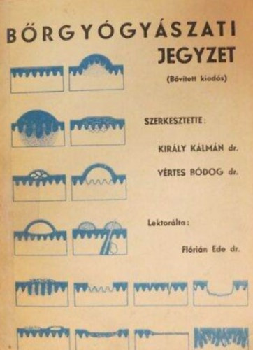 Dr. Dr. Vrtes Bdog Kirly Klmn - Brgygyszati jegyzet
