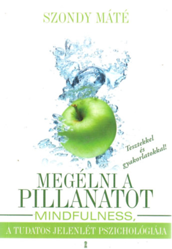 Szondy Mt - Meglni a pillanatot - Mindfullness, a tudatos jelenlt pszicholgija