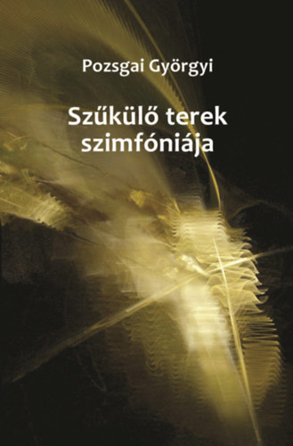 Pozsgai Gy�rgyi - Sz�k�l� terek szimf�ni�ja