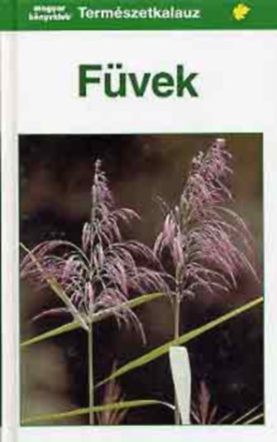 Fvek