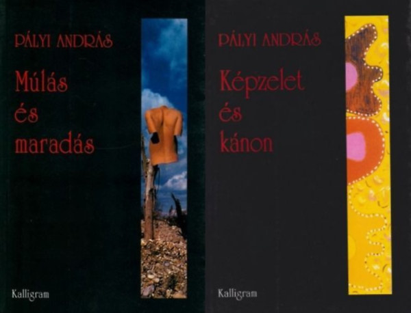 P�lyi Andr�s - K�pzelet �s k�non - Essz�k, kritik�k + M�l�s �s marad�s - R�di�napl�