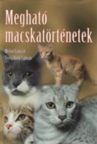 Meghat macskatrtnetek