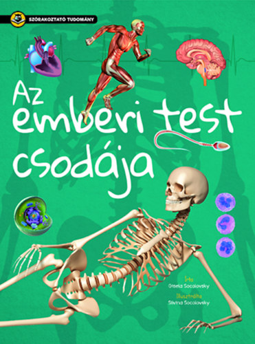 Az emberi test csodja
