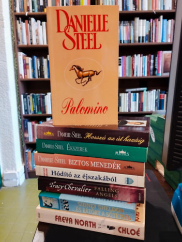 Romantikus knyvcsomag 8 db-os KNYVMENT AJNLAT: Chlo, ...s rtrt a sttsg, Falling Angels(angol), Hdt az jszakbl, Biztos menedk, Hossz az t hazig, kszerek, Palomino