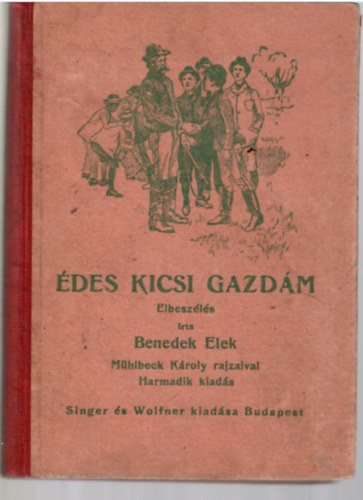 des kicsi gazdm