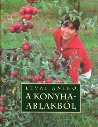 A konyhaablakb�l(Dedik�lt p�ld�ny)