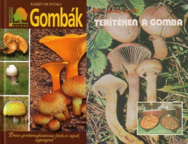 2 db knyv gombszoknak: Gombk - Pontos gombameghatrozs fotk s rajzok segtsgvel + Tertken a gomba