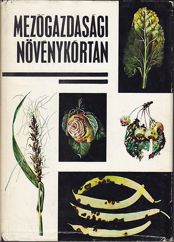 Mez�gazdas�gi n�v�nyk�rtan