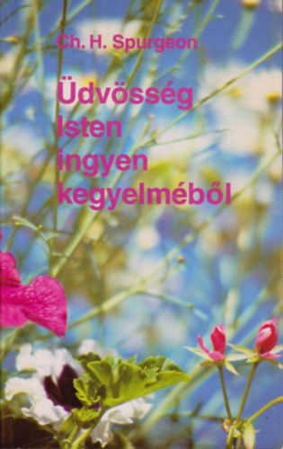 dvssg Isten ingyen kegyelmbl