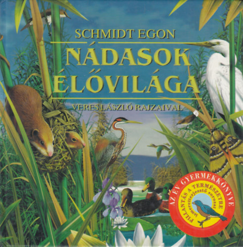 Ndasok lvilga