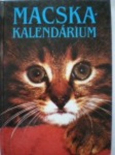 Macska kalendrium - Versek, elbeszlsek vallomsok