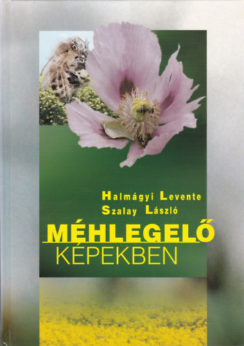 Halmgyi Levente - Mhlegel kpekben