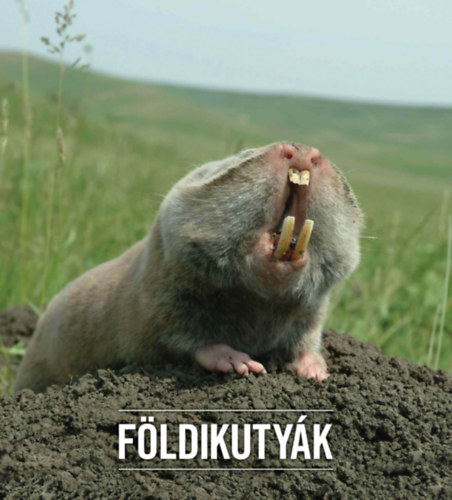 Csorba Gábor Németh Attila - Földikutyák - Állatkerti kötetek a természetért