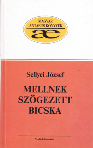 Mellnek szgezett bicska