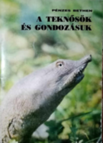 2db P�nzes Bethen m�: A tekn�s�k �s gondoz�suk + K�t�lt� h�ll�k a lak�sban