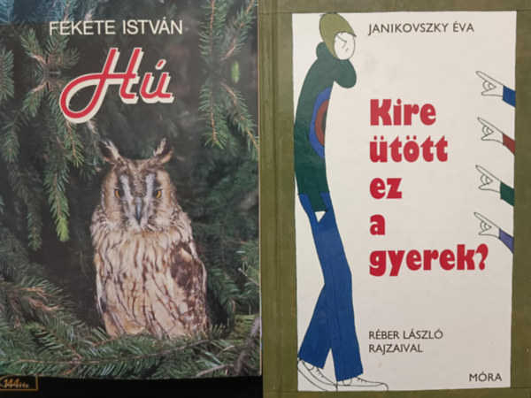 Ifjsgi knyvcsomag