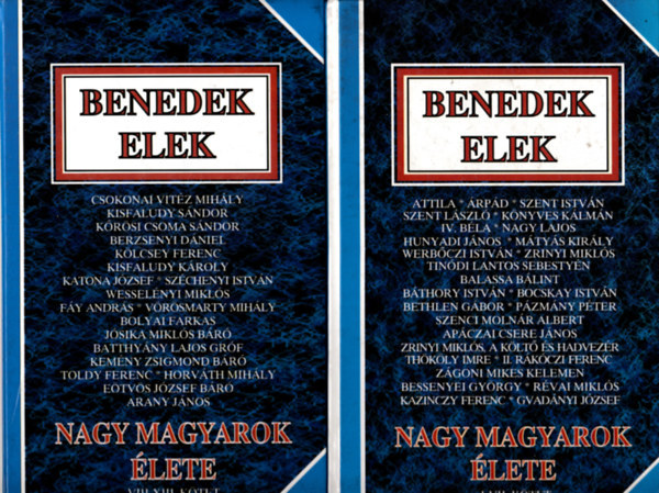 Nagy magyarok lete I-XIII. (kt ktetben)