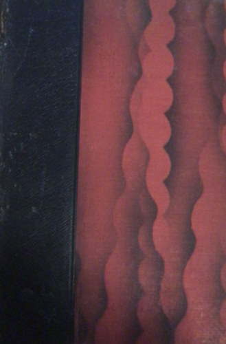 Mongol puszt�kon kereszt�l